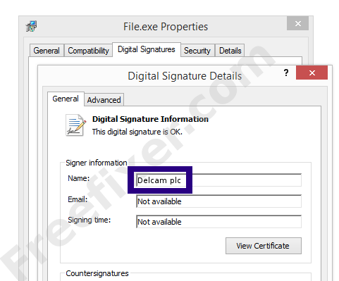 Screenshot of the Delcam plc certificate